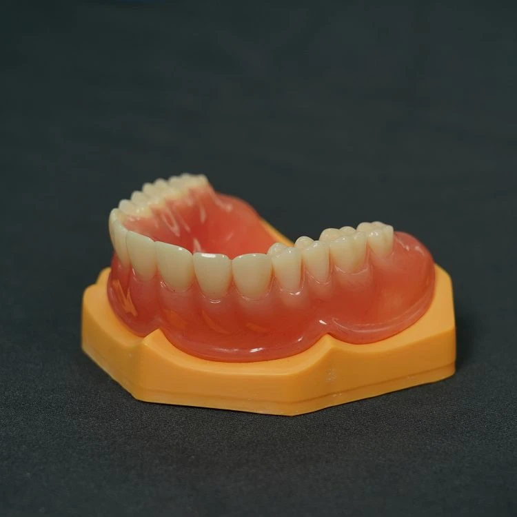 Full Mouth Plastic Bracket Full Mouth Plastic Bracket